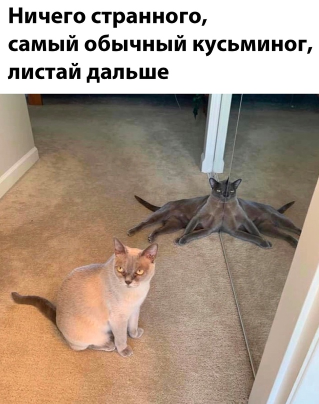 Картинки с надписями для поднятия настроения