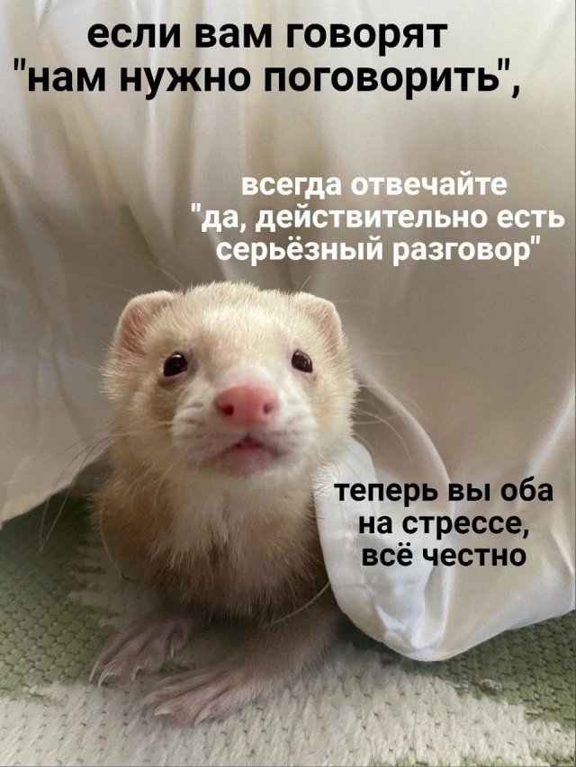 Немного картинок для настроения - 133