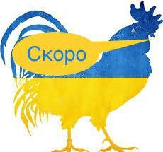 ⚡️ ФСБ: показания задержанных подтвердили украинский след в теракте