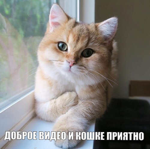 Все профессии нужны, все профессии важны!