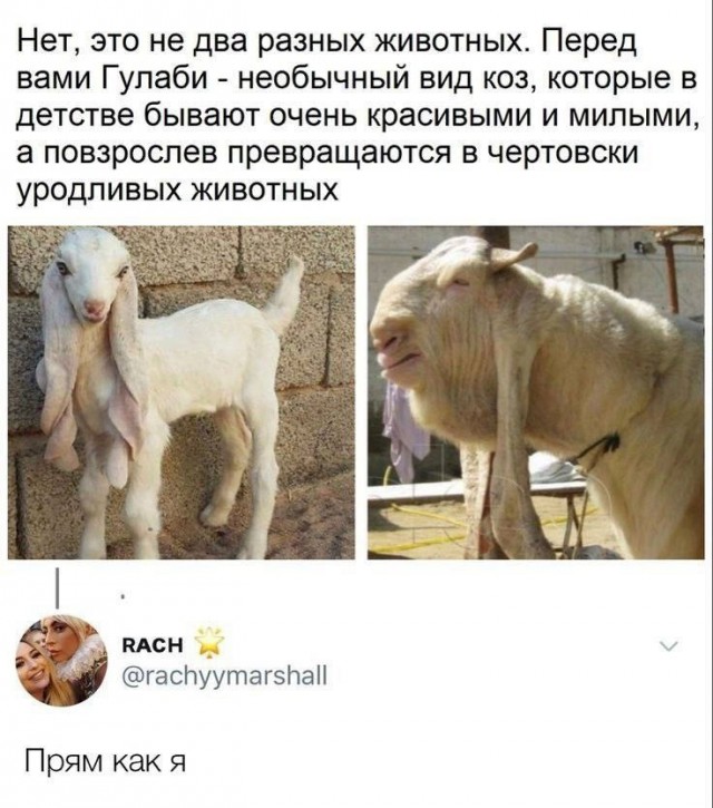 Так себе картинки 31.12.24