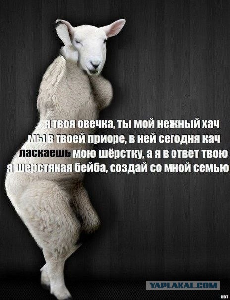 Как в Махачкале уступают дорогу скорой помощи