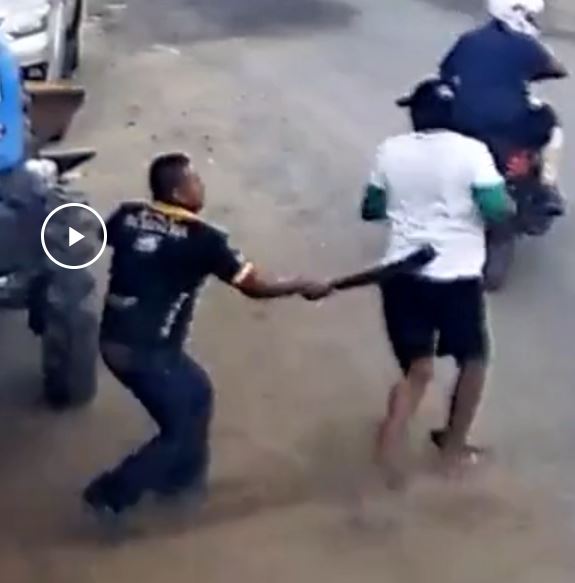 Лупень эквадорский