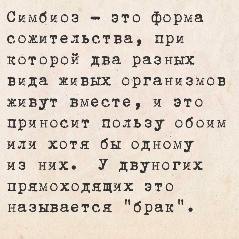 20360441.jpg