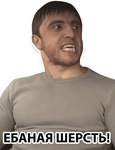 В защиту кошек породы Сфинкс канадский...