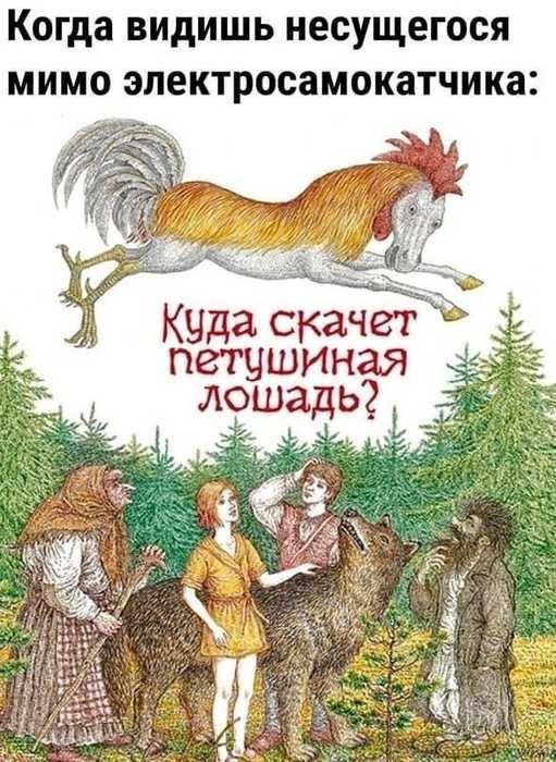 Картинки для деградации 203  (разной степени свежести)