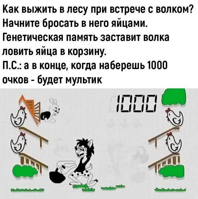 Веселые картинки в пятницу (28.08)