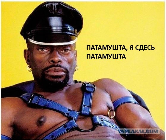 Хочу красивых мужиков в ленту!