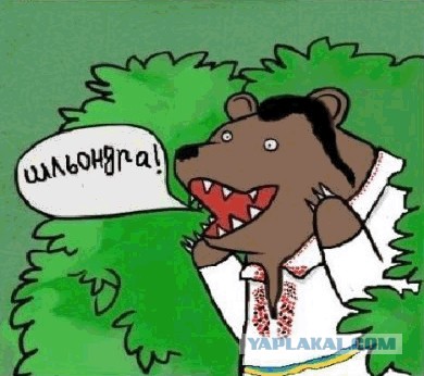 А парнишка-то молодец!