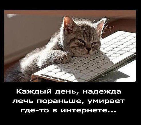 Немного позитива на пятницу.