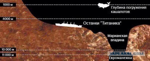 Поразительная взаимовыручка рЭвалюционЭров