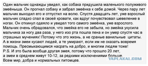 Шикарная притча об уверенности в себе