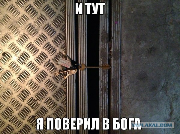 Картинки из сети