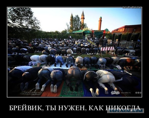 Так что такое, говорите, расизм?