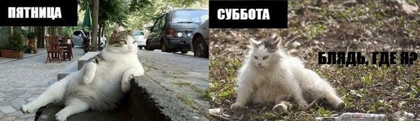 После пятницы, в субботу...