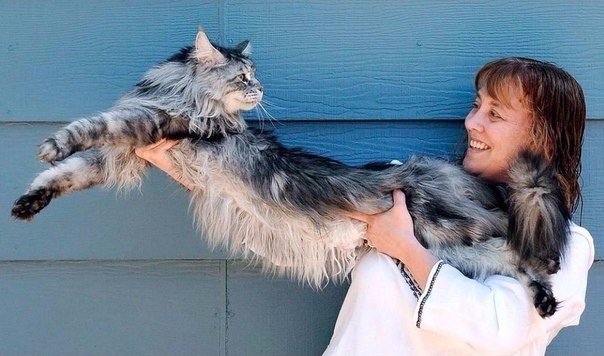 Подборка картинок на среду