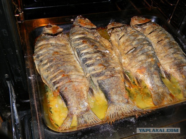 Фото Картошки И Карася