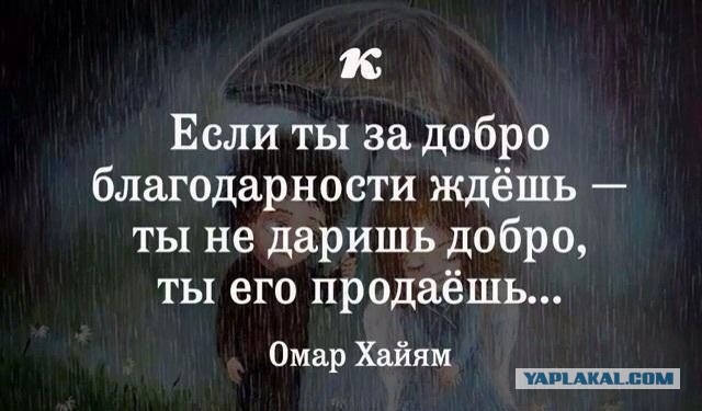 Круговорот денег в природе