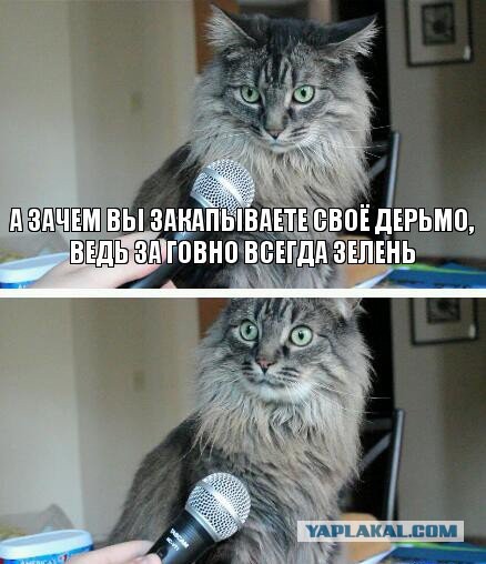 Обделался в автобусе