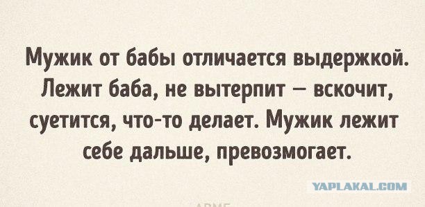 Смешные комментарии из социальных сетей 18.11.2016