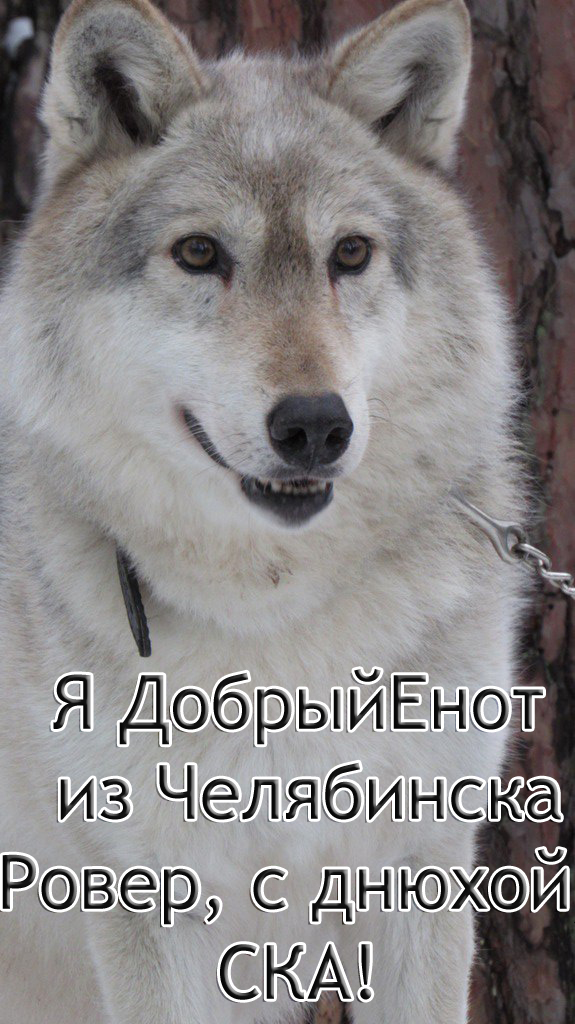 Wargaming 41