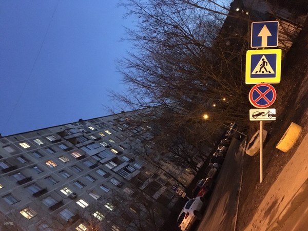 Подборка безудержного веселья