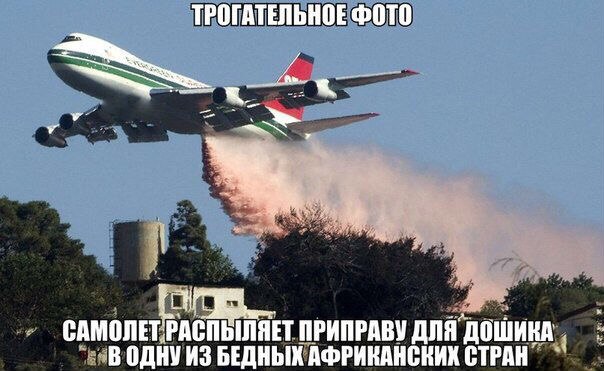 Нас преследует лёгкая деградация Япа