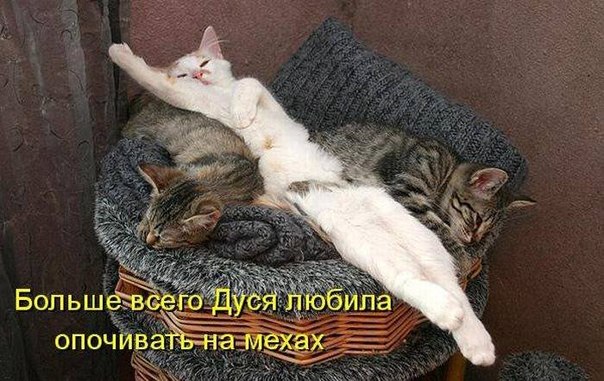 29 картинок