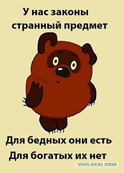 Москвичку, отправившую в полицию «видео с педофилом на Ленинградке», принудительно доставили в СК
