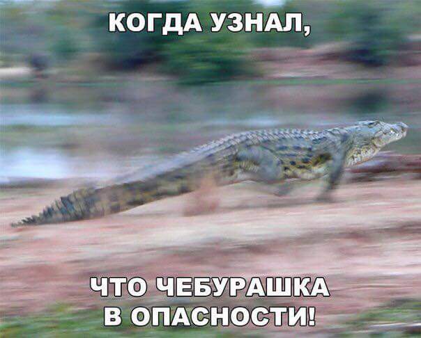 Подборка интересных и веселых картинок