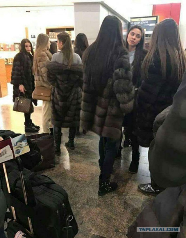 Лыжницы. Рейс на Куршавель