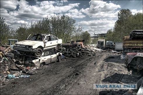 Кладбище домашних автолюбимцев