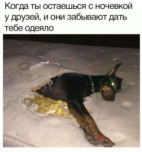 Прикольные картинки обо всём