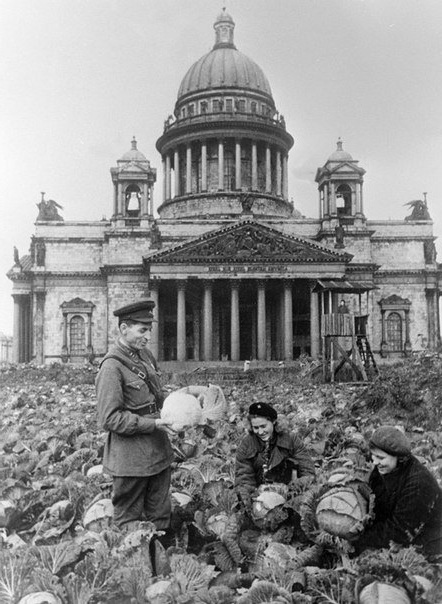 Советских фотокарточек пост