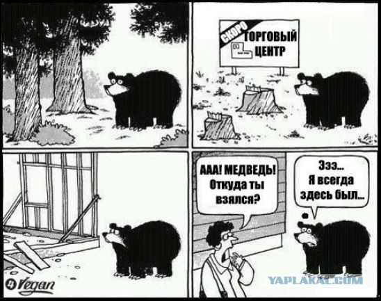 Две не очень умных мамы.