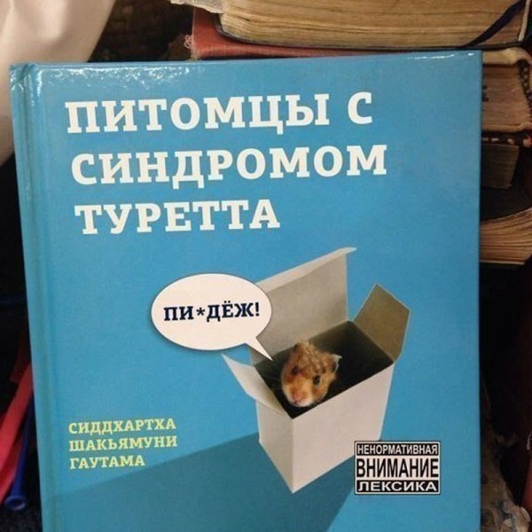 Немного картинок в этот понедельник