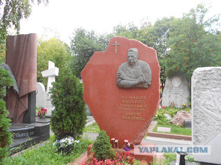 Новодевичье