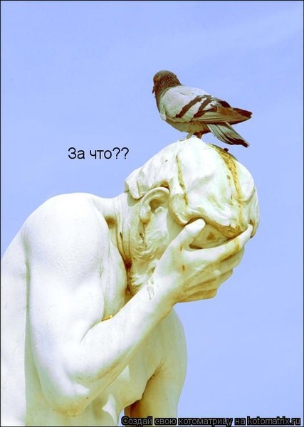 Заснят по факту преступления...