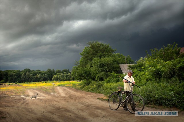 Каникулы в деревне