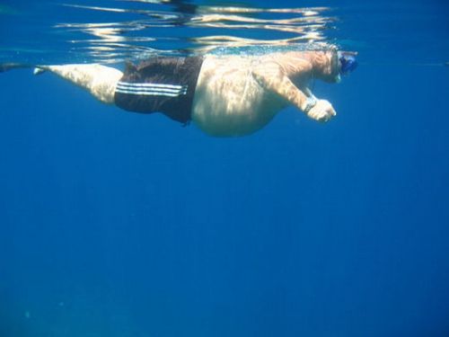 50 красивых картинок о том, что происходит под водой