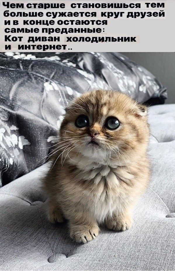 Позорище