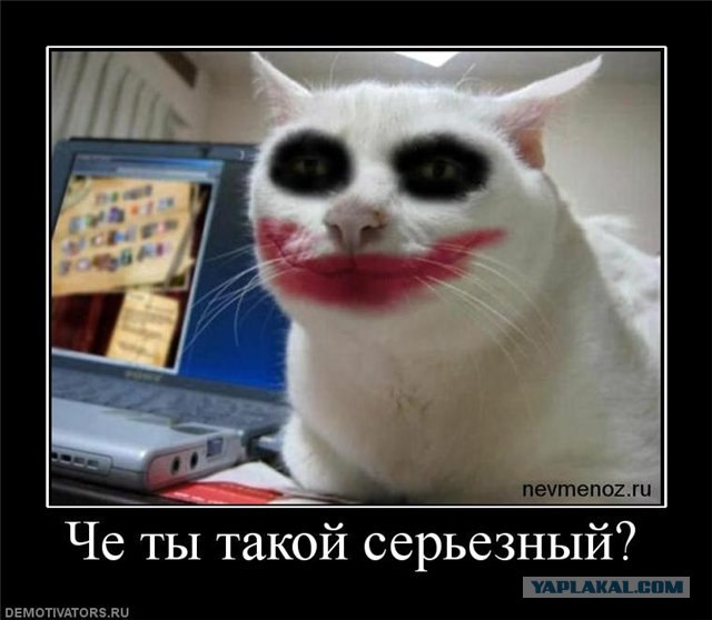 Антигрибные практики и упражнения