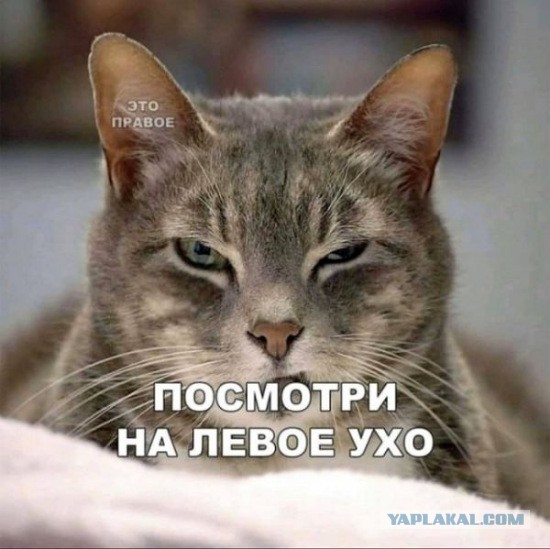 Немного картинок для настроения 15.11.19