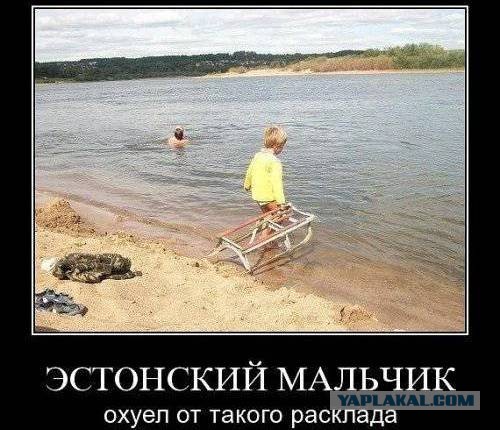 Водитель зарезал пешехода на пешеходном переходе в Мытищах