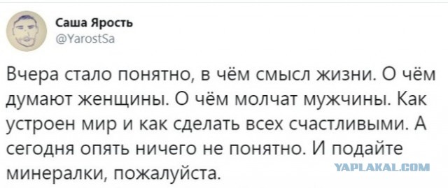 Картинки с надписями, истории и анекдоты 21.11.19