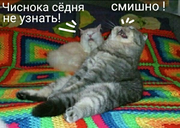 Нестандартный юмор