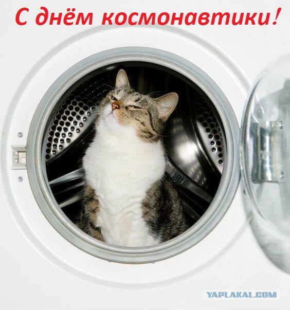 World of Warships - 8