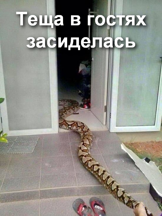 Кучка картинок №14