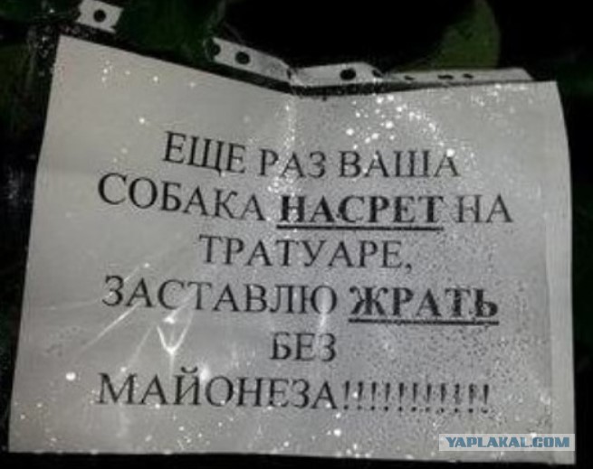 14306541.jpg
