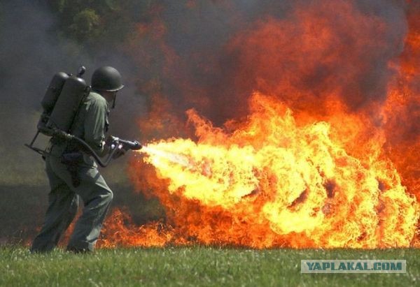 Будни сервисного центра